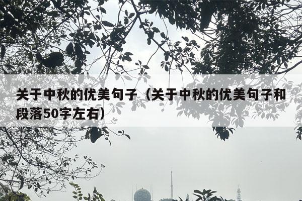 关于中秋的优美句子（关于中秋的优美句子和段落50字左右）