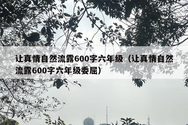 让真情自然流露600字六年级（让真情自然流露600字六年级委屈）