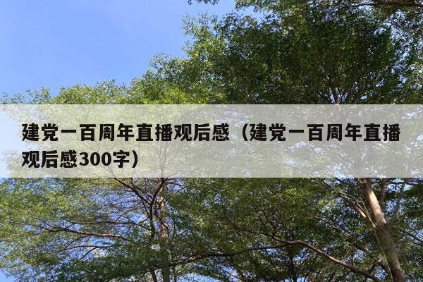 建党一百周年直播观后感（建党一百周年直播观后感300字）