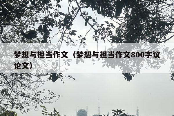 梦想与担当作文（梦想与担当作文800字议论文）