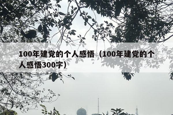 100年建党的个人感悟（100年建党的个人感悟300字）