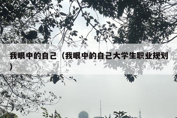 我眼中的自己（我眼中的自己大学生职业规划）