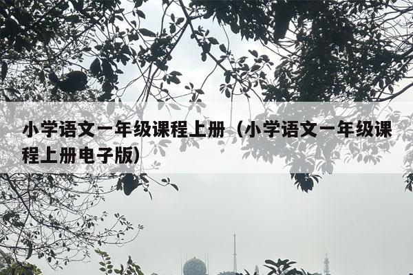 小学语文一年级课程上册（小学语文一年级课程上册电子版）