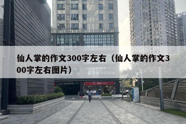 仙人掌的作文300字左右（仙人掌的作文300字左右图片）