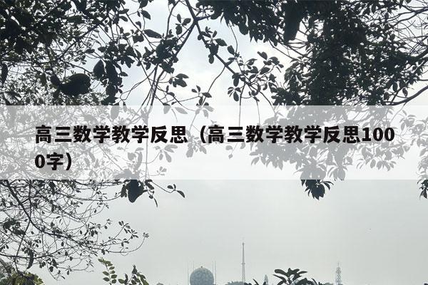 高三数学教学反思（高三数学教学反思1000字）