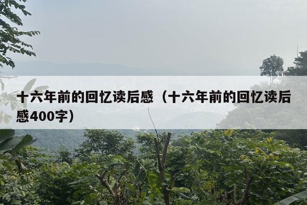 十六年前的回忆读后感（十六年前的回忆读后感400字）