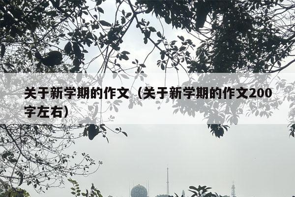 关于新学期的作文（关于新学期的作文200字左右）