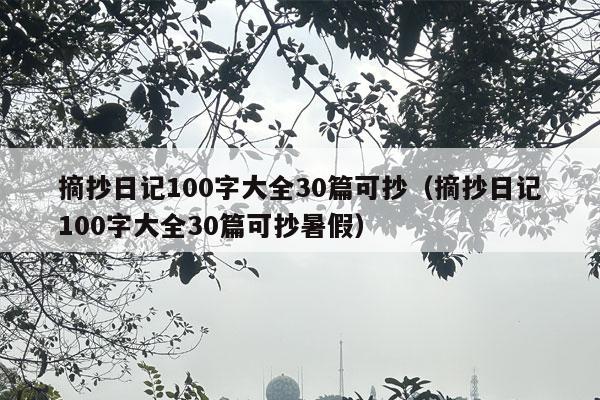 摘抄日记100字大全30篇可抄（摘抄日记100字大全30篇可抄暑假）