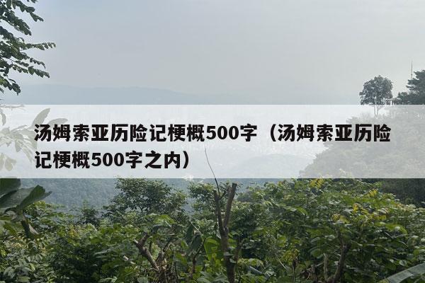 汤姆索亚历险记梗概500字（汤姆索亚历险记梗概500字之内）