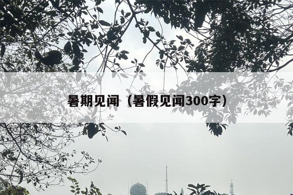 暑期见闻（暑假见闻300字）