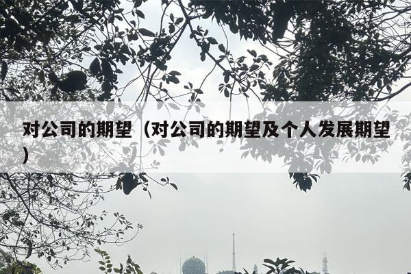 对公司的期望（对公司的期望及个人发展期望）