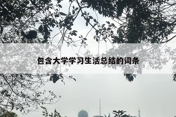 包含大学学习生活总结的词条