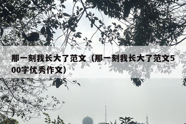 那一刻我长大了范文（那一刻我长大了范文500字优秀作文）