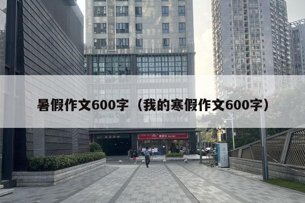 暑假作文600字（我的寒假作文600字）