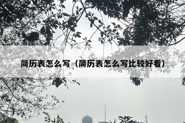 简历表怎么写（简历表怎么写比较好看）