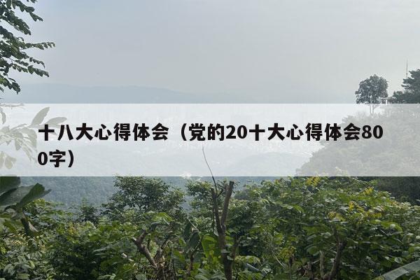 十八大心得体会（党的20十大心得体会800字）