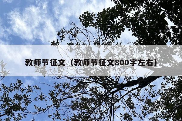 教师节征文（教师节征文800字左右）