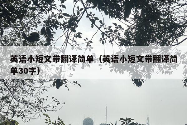 英语小短文带翻译简单（英语小短文带翻译简单30字）