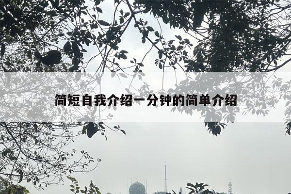 简短自我介绍一分钟的简单介绍