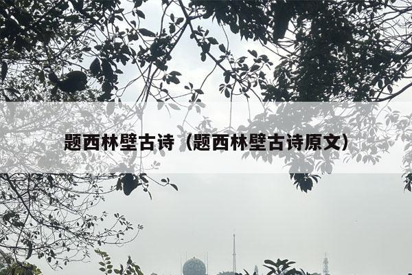 题西林壁古诗（题西林壁古诗原文）