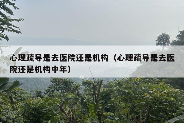 心理疏导是去医院还是机构（心理疏导是去医院还是机构中年）