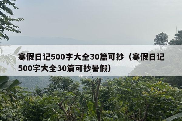 寒假日记500字大全30篇可抄（寒假日记500字大全30篇可抄暑假）