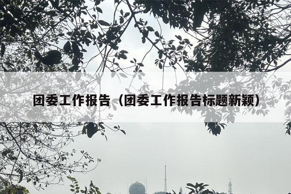 团委工作报告（团委工作报告标题新颖）