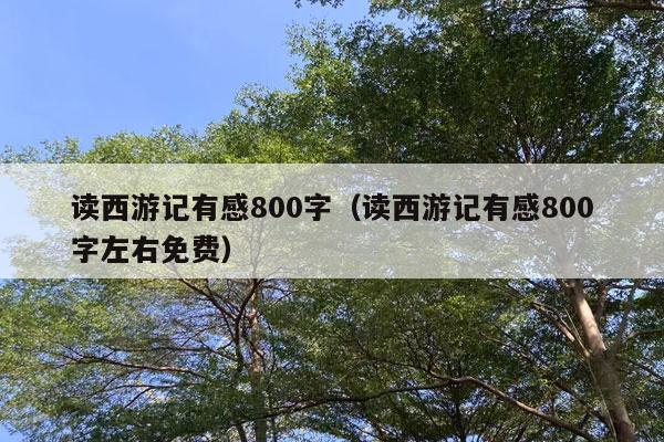 读西游记有感800字（读西游记有感800字左右免费）