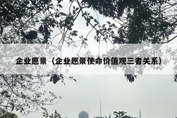 企业愿景（企业愿景使命价值观三者关系）