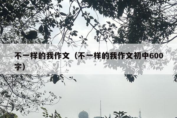 不一样的我作文（不一样的我作文初中600字）