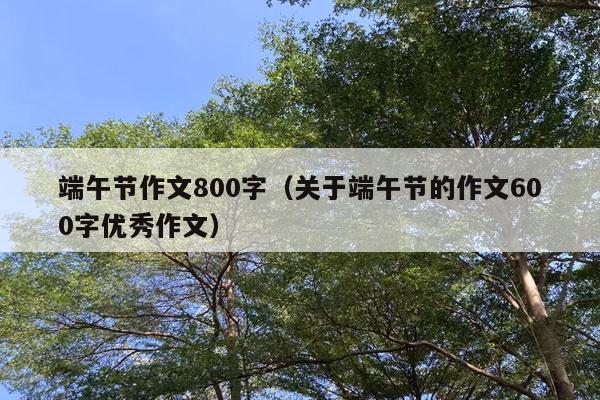 端午节作文800字（关于端午节的作文600字优秀作文）