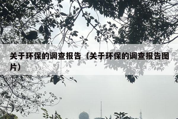 关于环保的调查报告（关于环保的调查报告图片）