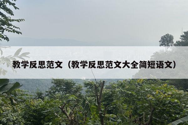 教学反思范文（教学反思范文大全简短语文）