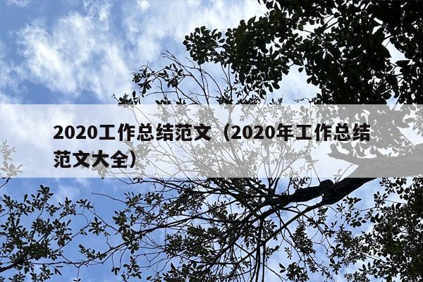 2020工作总结范文（2020年工作总结范文大全）