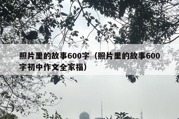 照片里的故事600字（照片里的故事600字初中作文全家福）