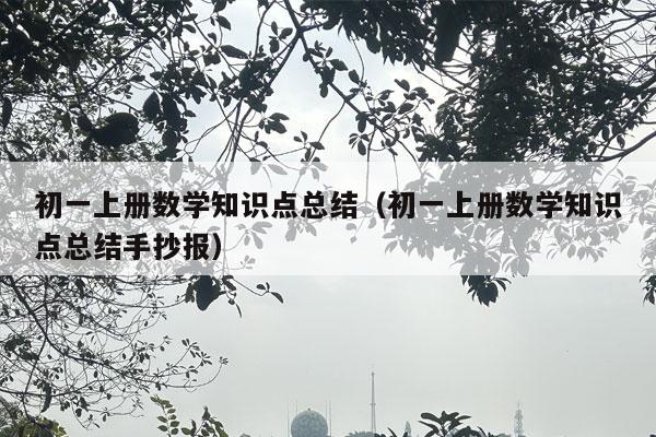 初一上册数学知识点总结（初一上册数学知识点总结手抄报）