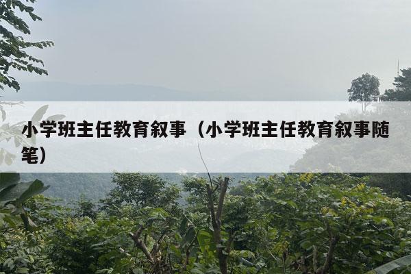 小学班主任教育叙事（小学班主任教育叙事随笔）