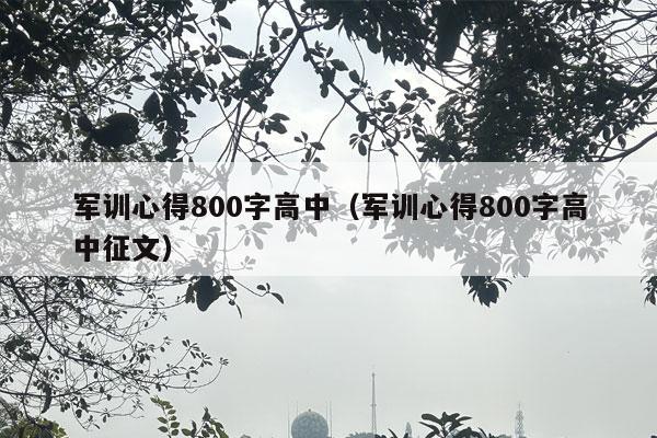 军训心得800字高中（军训心得800字高中征文）