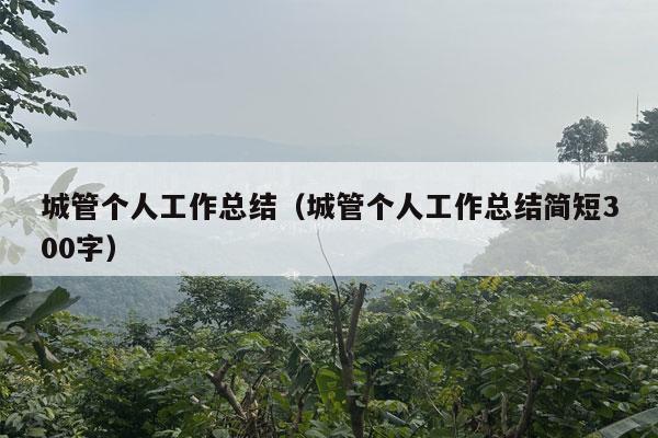 城管个人工作总结（城管个人工作总结简短300字）