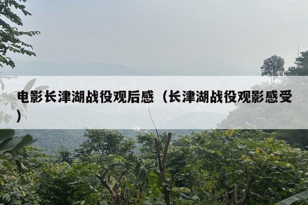 电影长津湖战役观后感（长津湖战役观影感受）