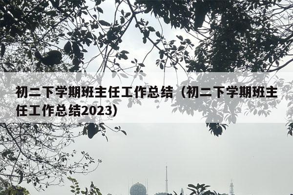 初二下学期班主任工作总结（初二下学期班主任工作总结2023）