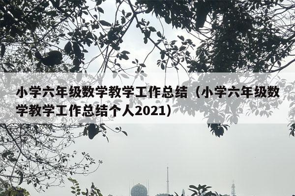 小学六年级数学教学工作总结（小学六年级数学教学工作总结个人2021）