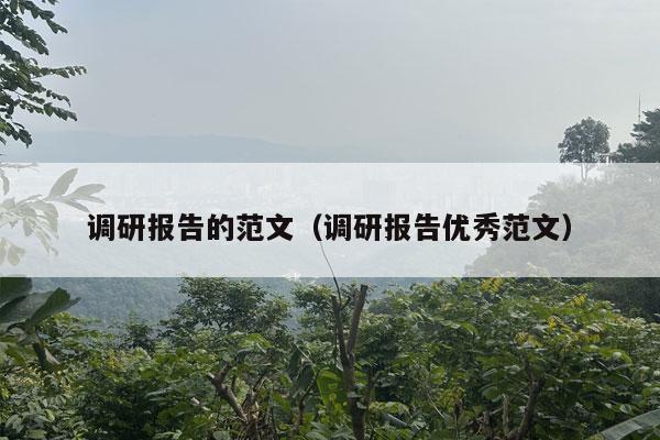 调研报告的范文（调研报告优秀范文）