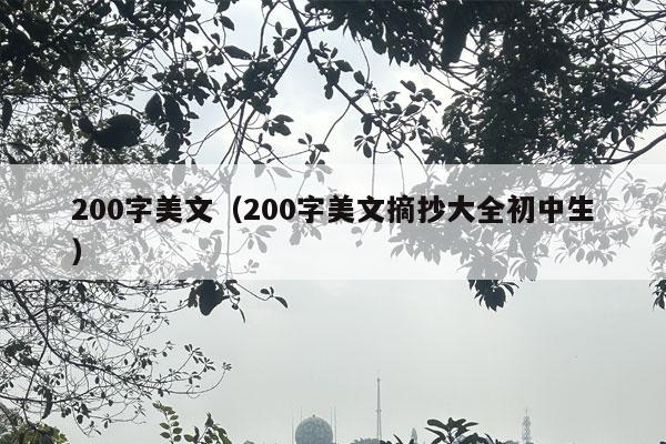 200字美文（200字美文摘抄大全初中生）