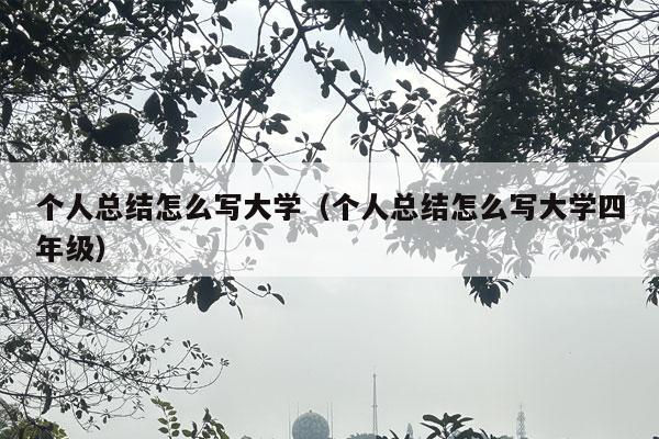 个人总结怎么写大学（个人总结怎么写大学四年级）