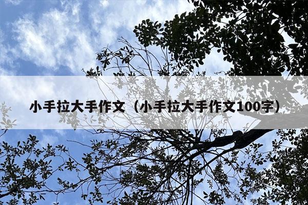 小手拉大手作文（小手拉大手作文100字）