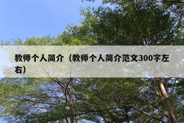 教师个人简介（教师个人简介范文300字左右）