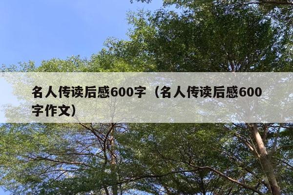 名人传读后感600字（名人传读后感600字作文）