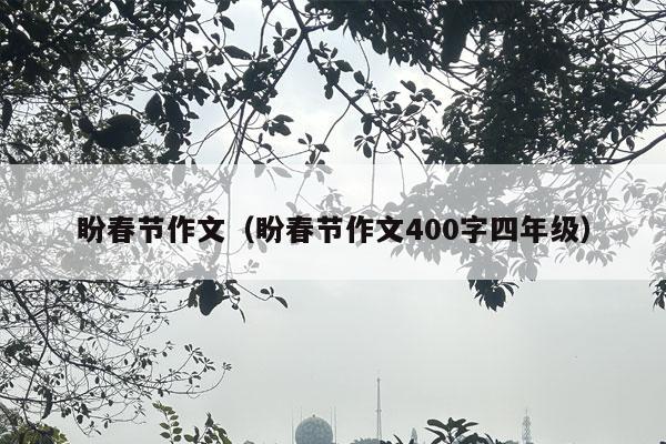 盼春节作文（盼春节作文400字四年级）