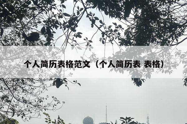 个人简历表格范文（个人简历表 表格）